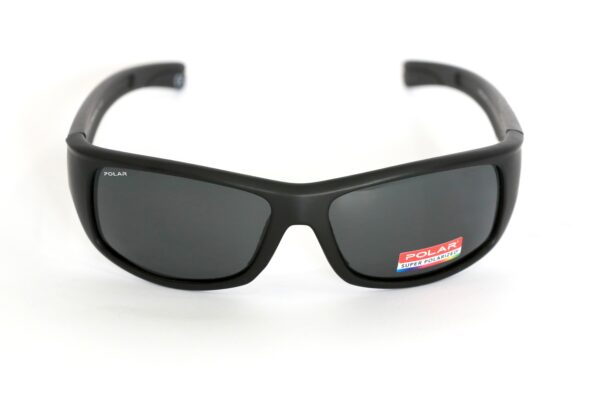 SUNČANE NAOČALE POLAR 3008 Col.76