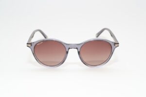 SUNČANE NAOČALE POLAR GOLD 
3020